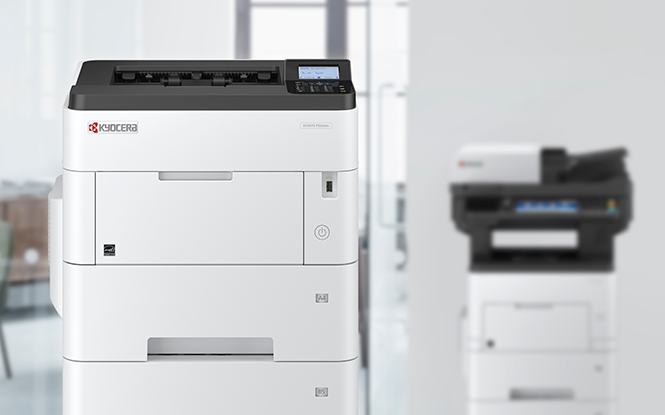 ecosys